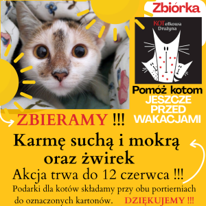 Zbiórka dla Kotełkowej Drużyny