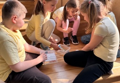 EKO-WYDARZENIA W RAMACH KAMPANII BIELSKO-BIAŁA CHRONI KLIMAT-"Daj nową energię"