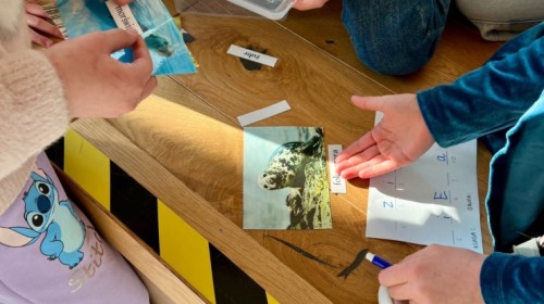 EKO-WYDARZENIA W RAMACH KAMPANII BIELSKO-BIAŁA CHRONI KLIMAT-"Daj nową energię"