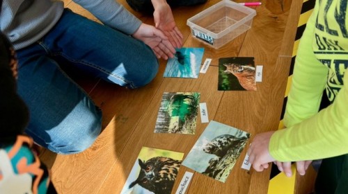 EKO-WYDARZENIA W RAMACH KAMPANII BIELSKO-BIAŁA CHRONI KLIMAT-"Daj nową energię"