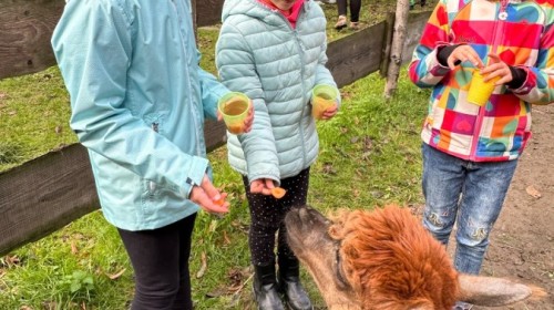 DZIAŁANIA EKOLOGICZNE-W RAMACH KAMPANII BIELSKO-BIAŁA CHRONI KLIMAT