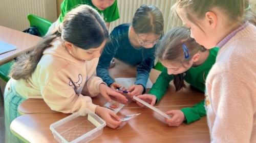 EKO-WYDARZENIA W RAMACH KAMPANII BIELSKO-BIAŁA CHRONI KLIMAT-"Daj nową energię"