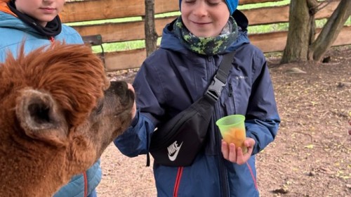 DZIAŁANIA EKOLOGICZNE-W RAMACH KAMPANII BIELSKO-BIAŁA CHRONI KLIMAT