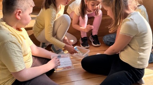 EKO-WYDARZENIA W RAMACH KAMPANII BIELSKO-BIAŁA CHRONI KLIMAT-"Daj nową energię"