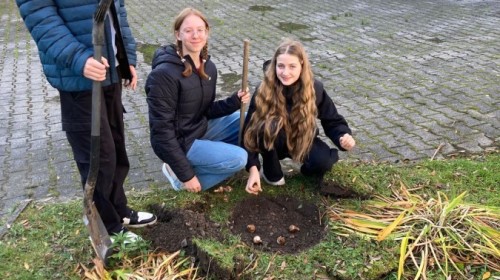 BIELSKO - BIAŁA CHRONI KLIMAT -"  DAJ NOWĄ ENERGIĘ "-działania ogrodnicze
