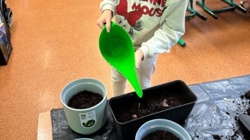 DZIAŁANIA EKOLOGICZNE-W RAMACH KAMPANII BIELSKO-BIAŁA CHRONI KLIMAT-"Daj nową energię"-działania ogrodnicze