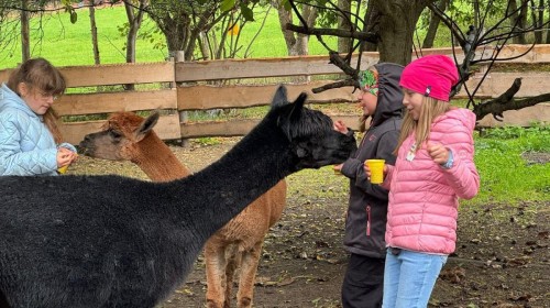 DZIAŁANIA EKOLOGICZNE-W RAMACH KAMPANII BIELSKO-BIAŁA CHRONI KLIMAT