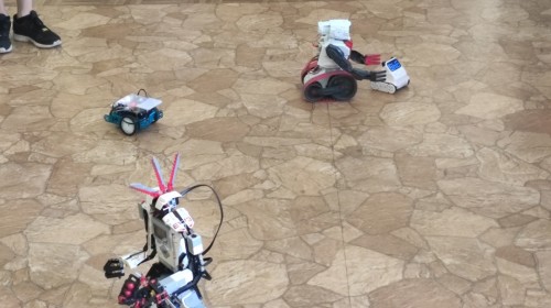 roboty codey rocky, ozobot, evolution