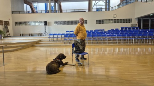 Program „Szkoła Dobrego Słowa”