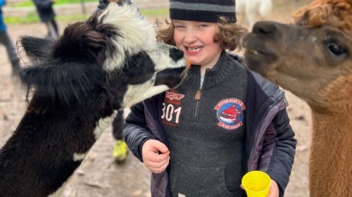 DZIAŁANIA EKOLOGICZNE-W RAMACH KAMPANII BIELSKO-BIAŁA CHRONI KLIMAT