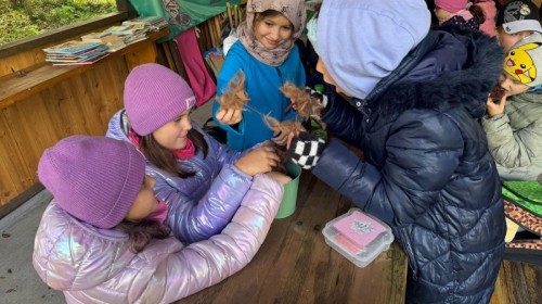 DZIAŁANIA EKOLOGICZNE-W RAMACH KAMPANII BIELSKO-BIAŁA CHRONI KLIMAT