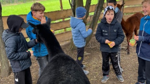 DZIAŁANIA EKOLOGICZNE-W RAMACH KAMPANII BIELSKO-BIAŁA CHRONI KLIMAT