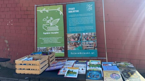 warsztaty ekologiczne