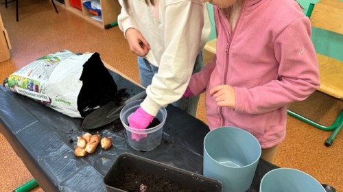 DZIAŁANIA EKOLOGICZNE-W RAMACH KAMPANII BIELSKO-BIAŁA CHRONI KLIMAT-"Daj nową energię"-działania ogrodnicze