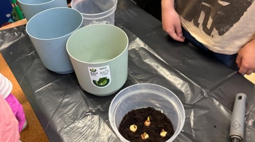 DZIAŁANIA EKOLOGICZNE-W RAMACH KAMPANII BIELSKO-BIAŁA CHRONI KLIMAT-"Daj nową energię"-działania ogrodnicze