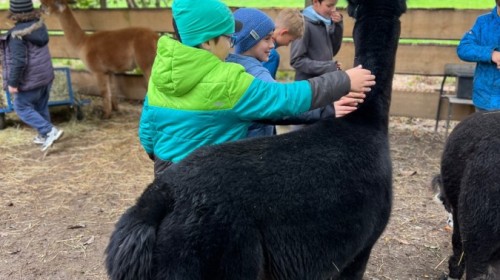 DZIAŁANIA EKOLOGICZNE-W RAMACH KAMPANII BIELSKO-BIAŁA CHRONI KLIMAT