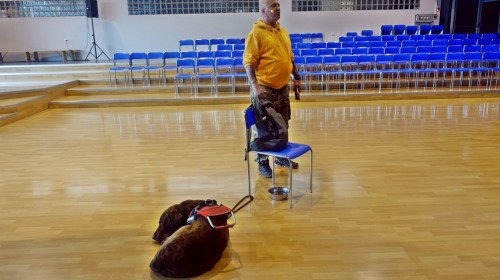 Program „Szkoła Dobrego Słowa”