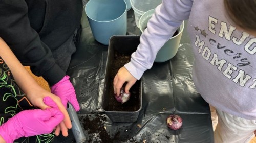 DZIAŁANIA EKOLOGICZNE-W RAMACH KAMPANII BIELSKO-BIAŁA CHRONI KLIMAT-"Daj nową energię"-działania ogrodnicze