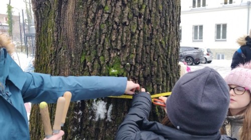 Warsztaty przyrodniczo-ekologiczne w Centrum Edukacji Ekologicznej Ekosynteza