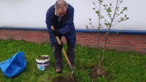 Książka za drzewo