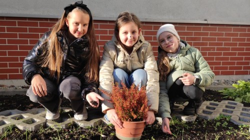 BIELSKO - BIAŁA CHRONI KLIMAT -"  DAJ NOWĄ ENERGIĘ "-działania ogrodnicze