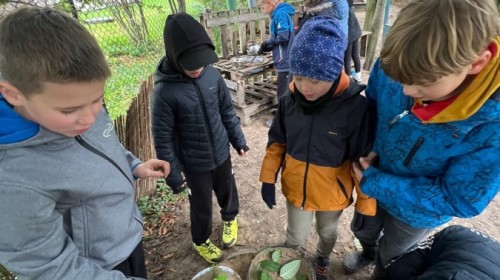 DZIAŁANIA EKOLOGICZNE-W RAMACH KAMPANII BIELSKO-BIAŁA CHRONI KLIMAT