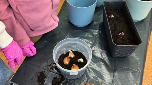 DZIAŁANIA EKOLOGICZNE-W RAMACH KAMPANII BIELSKO-BIAŁA CHRONI KLIMAT-"Daj nową energię"-działania ogrodnicze