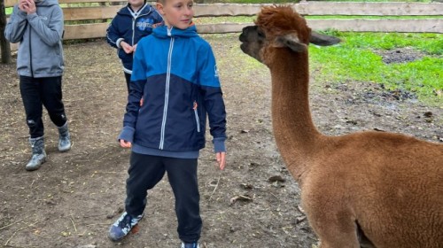 DZIAŁANIA EKOLOGICZNE-W RAMACH KAMPANII BIELSKO-BIAŁA CHRONI KLIMAT