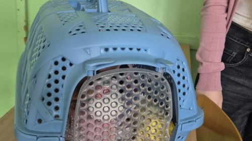 10 października obchodziliśmy Światowy Dzień Zdrowia Psychicznego