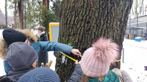 Warsztaty przyrodniczo-ekologiczne w Centrum Edukacji Ekologicznej Ekosynteza