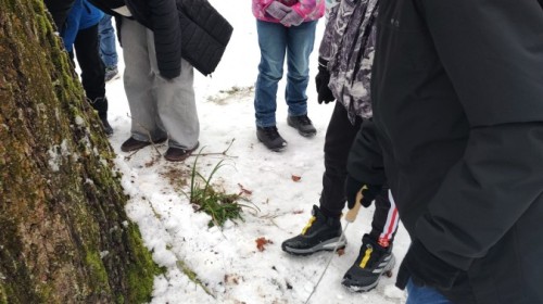 Warsztaty przyrodniczo-ekologiczne w Centrum Edukacji Ekologicznej Ekosynteza