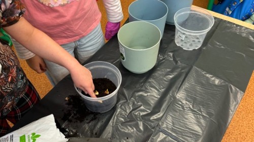 DZIAŁANIA EKOLOGICZNE-W RAMACH KAMPANII BIELSKO-BIAŁA CHRONI KLIMAT-"Daj nową energię"-działania ogrodnicze