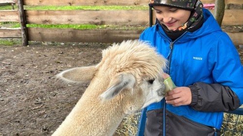 DZIAŁANIA EKOLOGICZNE-W RAMACH KAMPANII BIELSKO-BIAŁA CHRONI KLIMAT