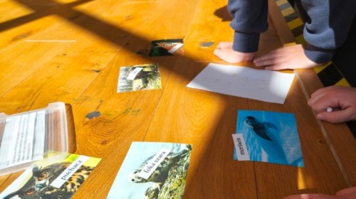 EKO -WYDARZENIE W RAMACH KAMPANII BIELSKO - BIAŁA CHRONI KLIMAT