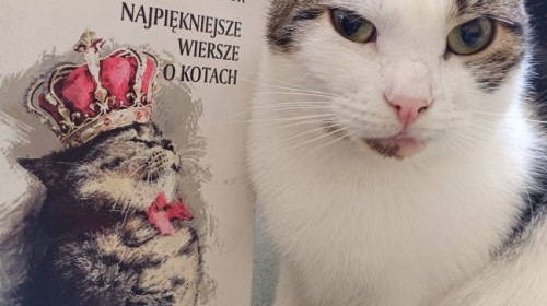 Wyniki konkursu fotograficznego „Otwórz książkę – odkryj świat!”.