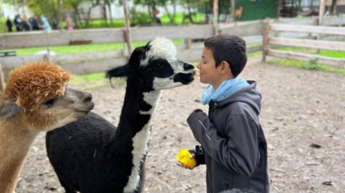 DZIAŁANIA EKOLOGICZNE-W RAMACH KAMPANII BIELSKO-BIAŁA CHRONI KLIMAT