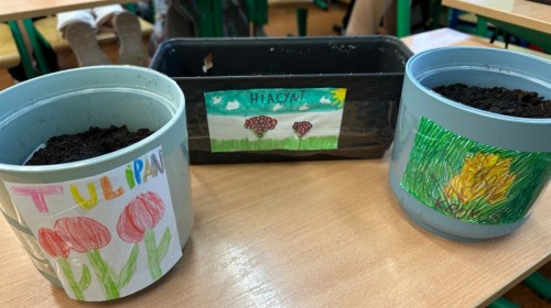 DZIAŁANIA EKOLOGICZNE-W RAMACH KAMPANII BIELSKO-BIAŁA CHRONI KLIMAT-"Daj nową energię"-działania ogrodnicze