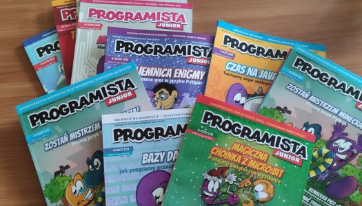 Programista Junior