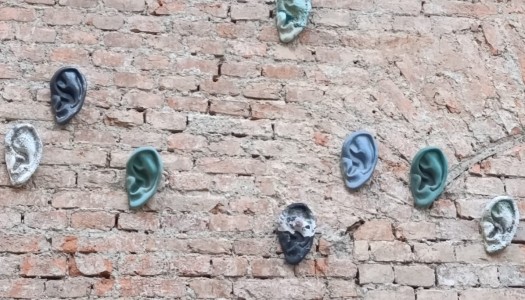 Czy wiecie, gdzie można znaleźć te uszy?