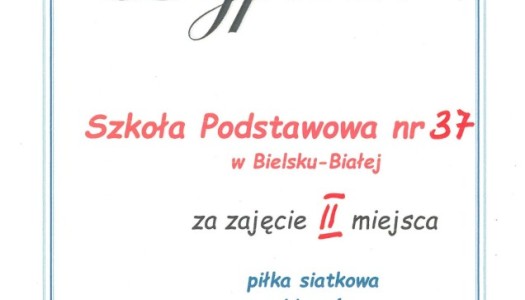 rozgrywki w piłce siatkowej dzieci kl.V i V