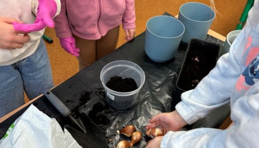 DZIAŁANIA EKOLOGICZNE -  RAMACH KAMPANII BIELSKO-BIAŁA CHRONI KLIMAT-"Daj nową energię" - działania ogrodnicze