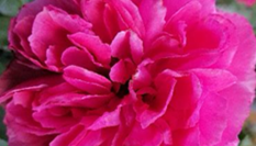 Dzień Edukacji Narodowej