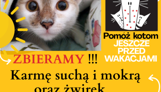 Zbiórka dla Kotełkowej Drużyny